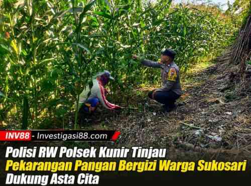 Polisi RW Polsek Kunir Tinjau Pekarangan Pangan Bergizi Warga Sukosari Dukung Asta Cita Polisi RW Polsek Kunir Tinjau Pekarangan Pangan Bergizi Warga Sukosari Dukung Asta Cita