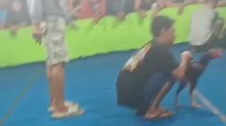 Warga Soroti Dugaan Aktivitas Judi 303 di Klurak Candi, Polisi Diminta Lakukan Penindakan Tegas