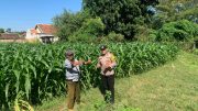 Sambang Sawah, Polsek Kademangan Serap Aspirasi Petani Demi Ketahanan Pangan