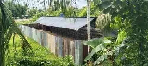 Belum Ada Penjelasan Resmi, Dugaan Kasus Izin Lingkungan Ternak Ayam di Langsa Kembali Disorot Publik
