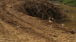 Temuan Solar Subsidi di Lokasi Proyek APBA Langsa Jadi Sorotan, Polisi Diminta Periksa Kontraktor
