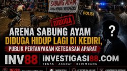 Sorotan Publik Mengarah ke Kepung, Dugaan Arena Sabung Ayam Kembali Beroperasi Diam-Diam