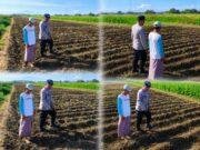 Polisi Pantau Lahan Jagung 4.000 Meter Persegi di Kedopok, Dukung Program Ketahanan Pangan