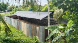 Hampir Sebulan Belum Ada Kejelasan, Dugaan Kasus Izin Lingkungan di Langsa Kembali Disorot