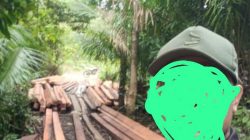 ​Dugaan Skandal “86” Kayu Tangkapan di Morut,Uji Keberanian BKSDA Sulteng Menindak Oknum DN  ​