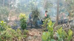 Aksi Cepat Babinsa Posramil Selopuro Bersama Warga Padamkan Kebakaran Lahan Bambu Di Blitar Aksi Cepat Babinsa Posramil Selopuro Bersama Warga Padamkan Kebakaran Lahan Bambu Di Blitar
