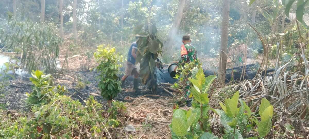 Aksi Cepat Babinsa Posramil Selopuro Bersama Warga Padamkan Kebakaran Lahan Bambu Di Blitar
