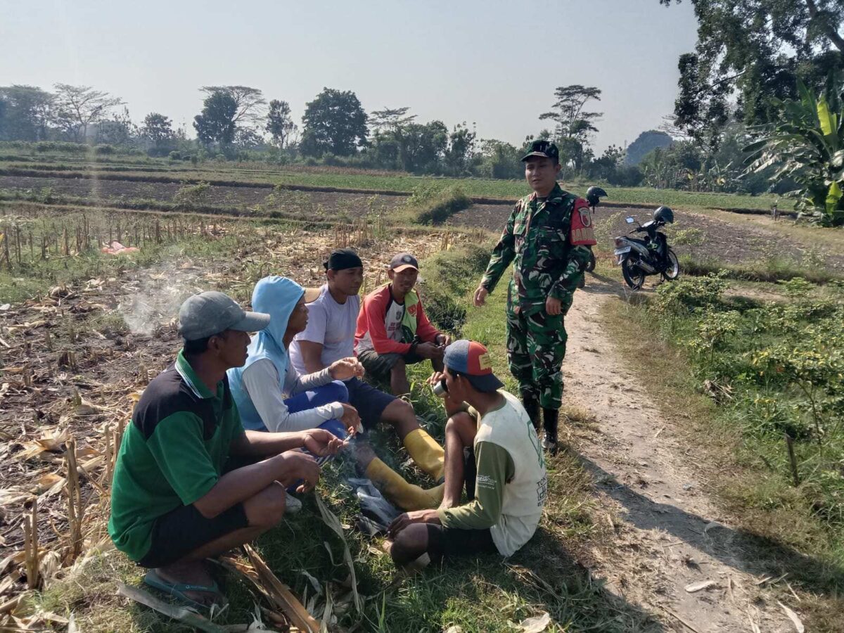 Perkuat Swasembada Pangan, Serda Fiyan Setyadi Gelar Komsos Bersama Poktan Sumber Makmur Perkuat Swasembada Pangan, Serda Fiyan Setyadi Gelar Komsos Bersama Poktan Sumber Makmur