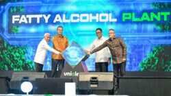 Pengembangan Infrastruktur Dukung Daya Saing Kek Sei Mangkei