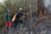 Penutupan Total Pendakian Gunung Semeru Akibat Kebakaran