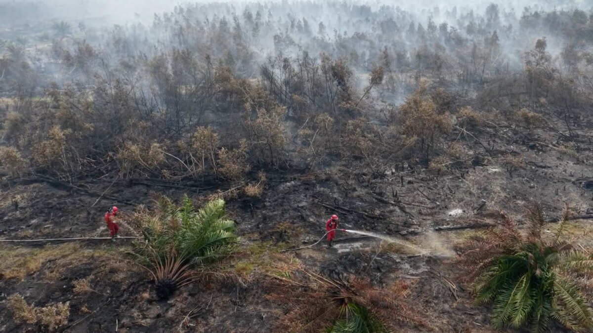 Upaya Tim Manggala Agni Memadamkan Karhutla di Ogan Komering Ilir