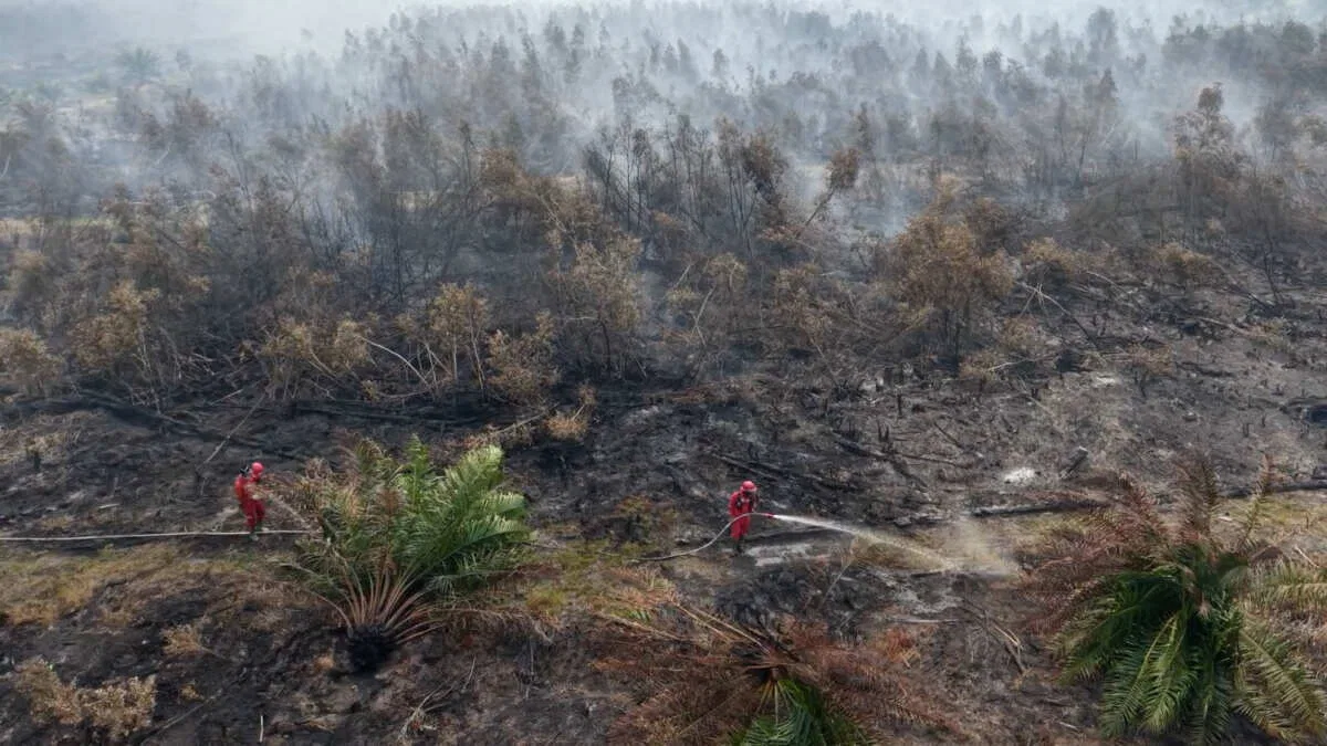 Upaya Tim Manggala Agni Memadamkan Karhutla di Ogan Komering Ilir