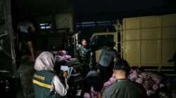 Penemuan Bawang Impor Ilegal di Natuna: Upaya TNI AL dan BKHIT Penemuan Bawang Impor Ilegal di Natuna: Upaya TNI AL dan BKHIT