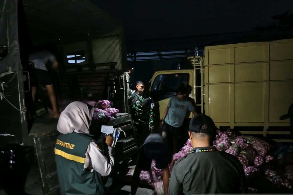 Penemuan Bawang Impor Ilegal di Natuna: Upaya TNI AL dan BKHIT Penemuan Bawang Impor Ilegal di Natuna: Upaya TNI AL dan BKHIT
