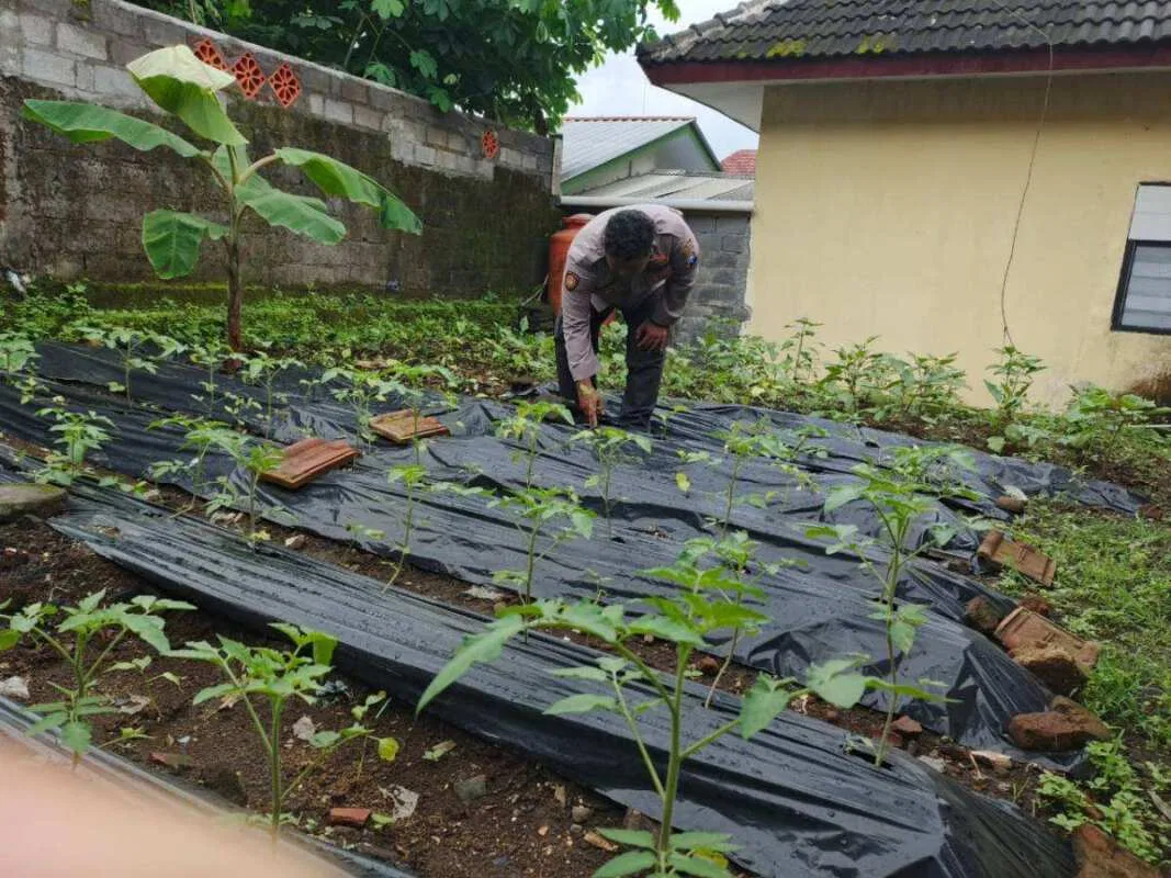 Bhabinkamtibmas Polsek Gucialit Aktif Dukung Ketahanan Pangan Nasional