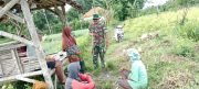 Koramil Leces Aktif Komsos Dan Dampingi Petani Binaan