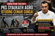 Ribuan Ikan Mati di Aceh Jaya, Aparat Diminta Usut Dugaan Pencemaran Sungai Secara Tuntas