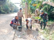 Bangun Jalan Sekaligus Hijaukan Desa, Satgas TMMD Kodim 1002/HST Tanam 100 Bibit Pohon