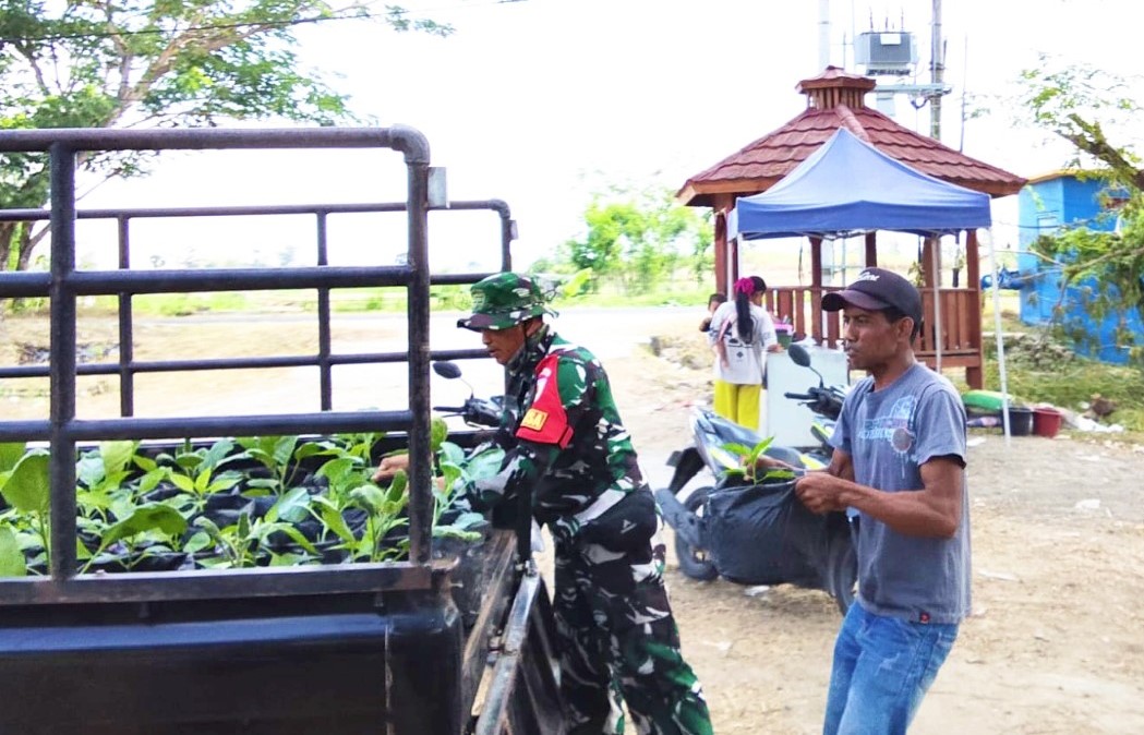 Perkuat Ketahanan Pangan: Satgas TMMD 129 Bojonegoro Pasok Ratusan Bibit Sayuran untuk Warga Kesongo Perkuat Ketahanan Pangan: Satgas TMMD 129 Bojonegoro Pasok Ratusan Bibit Sayuran untuk Warga Kesongo