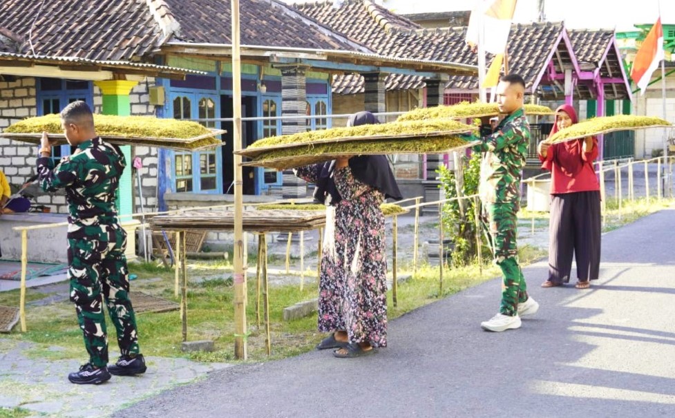 Kemanunggalan di Atas Widik: Cerita Kehangatan Satgas TMMD 129 Bojonegoro Bantu Olah Tembakau Petani Kesongo Kemanunggalan di Atas Widik: Cerita Kehangatan Satgas TMMD 129 Bojonegoro Bantu Olah Tembakau Petani Kesongo