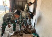 Ukir Senyum Ibu Wagini: Anggota Satgas Kebut Pembersihan dan Finishing Sebelum TMMD 129 Bojonegoro Usai