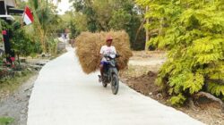 Jalan Baru, Harapan Baru: Asa Petani Dusun Mundu Mengangkut Rezeki Lewat TMMD 129 Bojonegoro Jalan Baru, Harapan Baru: Asa Petani Dusun Mundu Mengangkut Rezeki Lewat TMMD 129 Bojonegoro