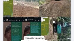 Diminta Kapolresta Banggai Usut Tuntas Dugaan Perambahan Illegal, Camat Tolbar Dan KPH Resort Tolbar Membisu.  ​
