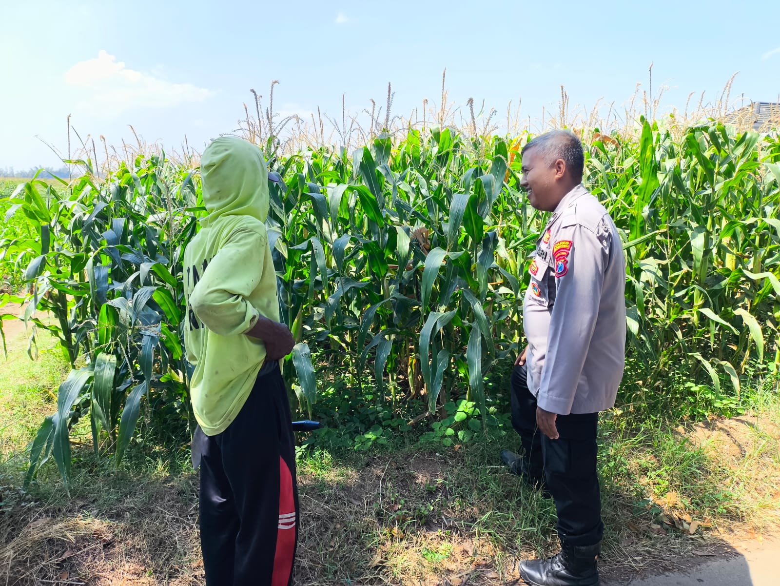 Tak Sekadar Jaga Kamtibmas, Polisi Ikut Kawal Lahan Jagung di Kedopok Tak Sekadar Jaga Kamtibmas, Polisi Ikut Kawal Lahan Jagung di Kedopok