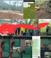 Banggai Darurat Hukum! Mantan Plt Kades Dongin di duga Main Mata Soal Hutan Lindung, Pejabat Lokal Kompak Bungkam?  ​