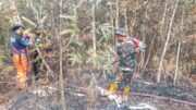 Babinsa dan Relawan Berjibaku Padamkan Karhutla di HST