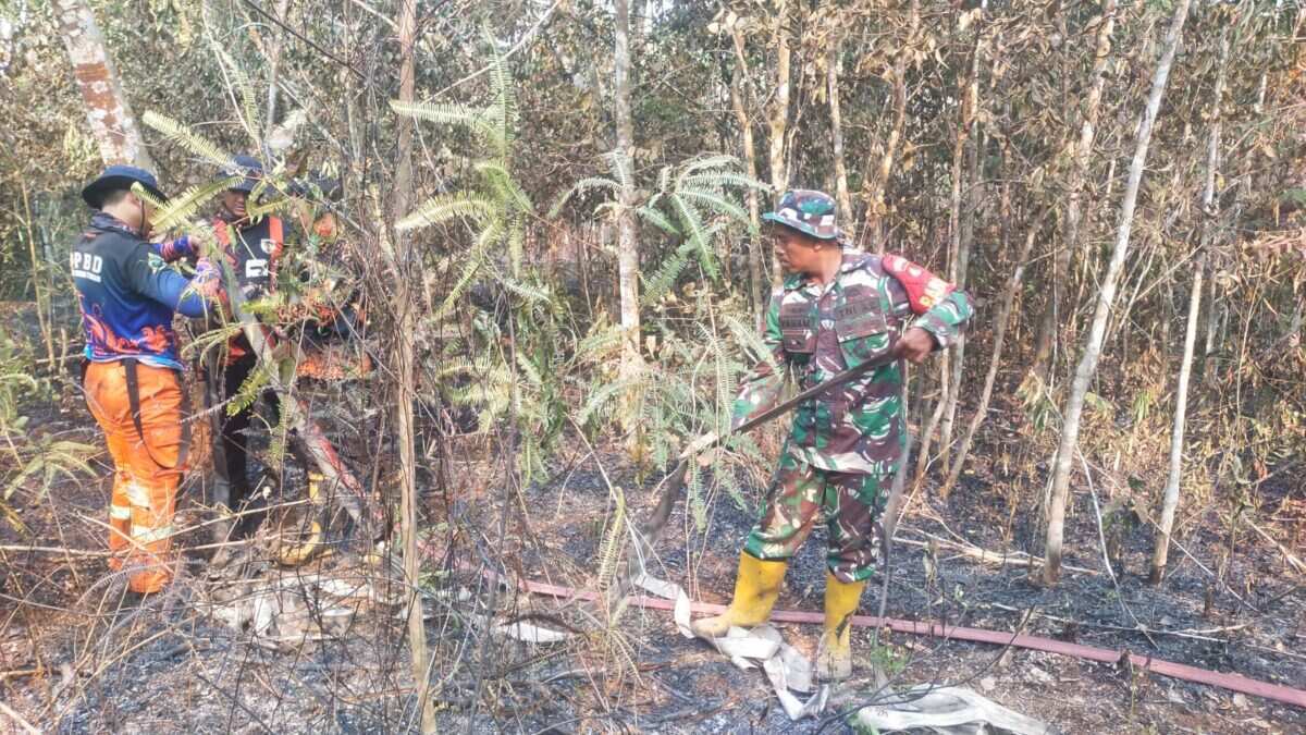 Babinsa dan Relawan Berjibaku Padamkan Karhutla di HST