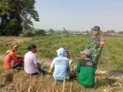 Perkuat Swasembada Pangan, Serda Fiyan Setyadi Gelar Komsos Bersama Poktan Sumber Makmur