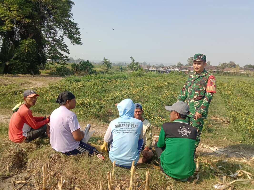 Perkuat Swasembada Pangan, Serda Fiyan Setyadi Gelar Komsos Bersama Poktan Sumber Makmur