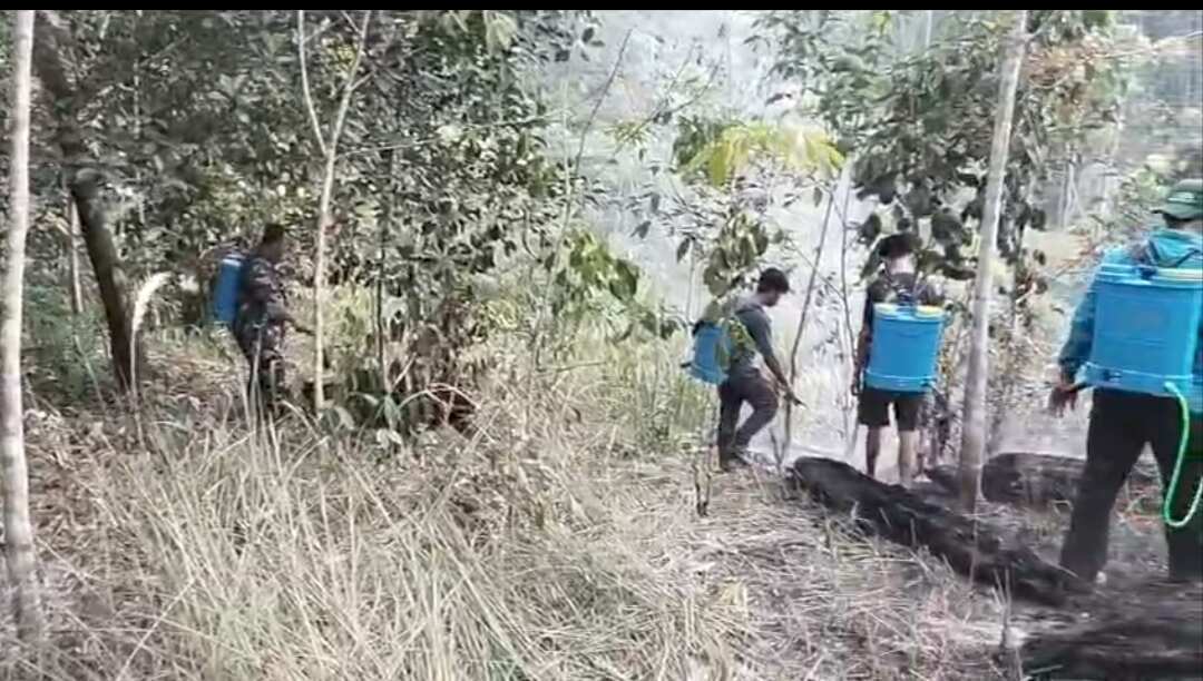 Babinsa Bersama Warga Padamkan Karhutla di Desa Halong Babinsa Bersama Warga Padamkan Karhutla di Desa Halong