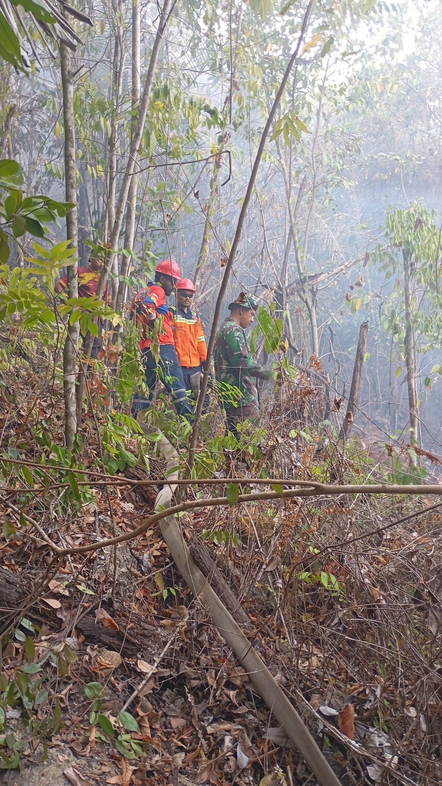Personil Koramil 1505-03/Maba Berjibaku Padamkan Kebakaran Hutan di Puncak Gunung.