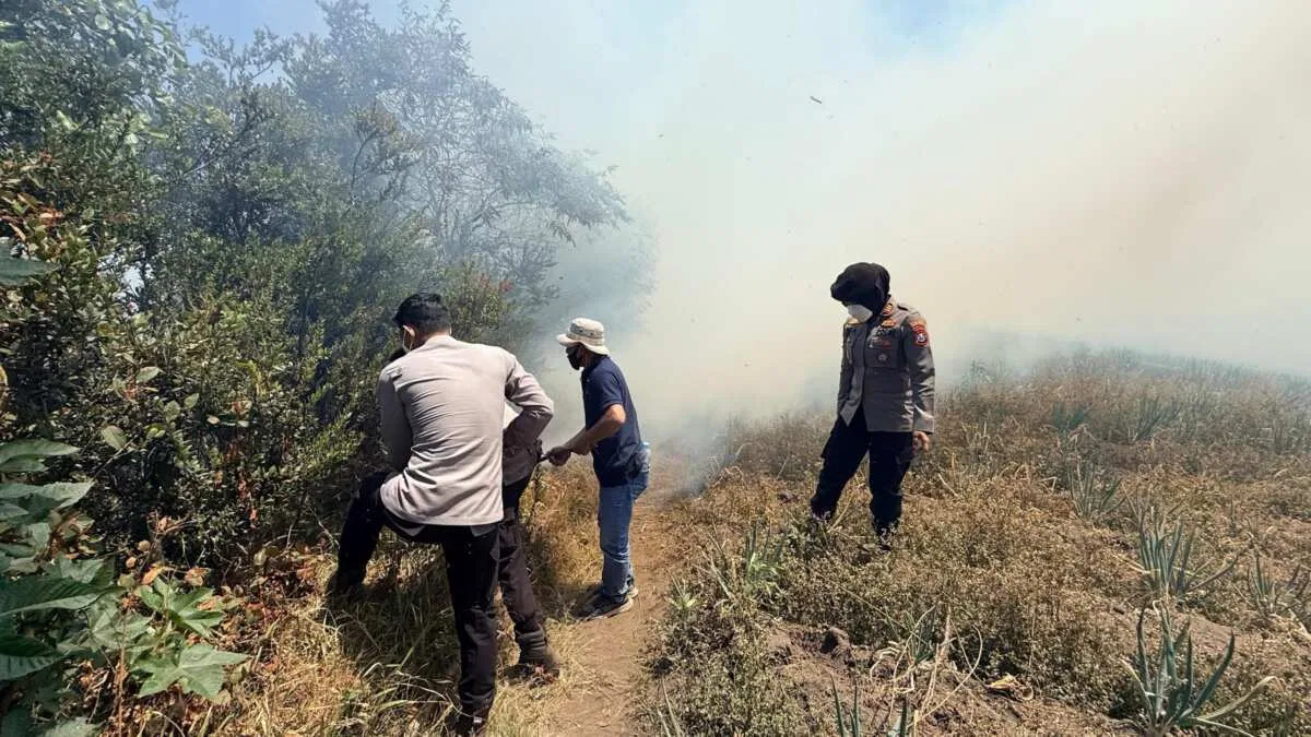 Karhutla Bromo: Api Mengarah ke Ngadisari, Polres Probolinggo Gerak Cepat Padamkan Api di Blok Seruni