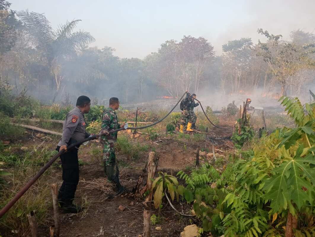 Gerak Cepat TNI di Tengah Kepulan Asap, Karhutla Berhasil Dipadamkan Gerak Cepat TNI di Tengah Kepulan Asap, Karhutla Berhasil Dipadamkan