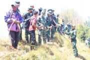 Dandim 0820/Probolinggo Letkol Inf Ribut Yodo Apriantono Pimpin Langsung Pemadaman Karhutla Di Area Gunung Bromo