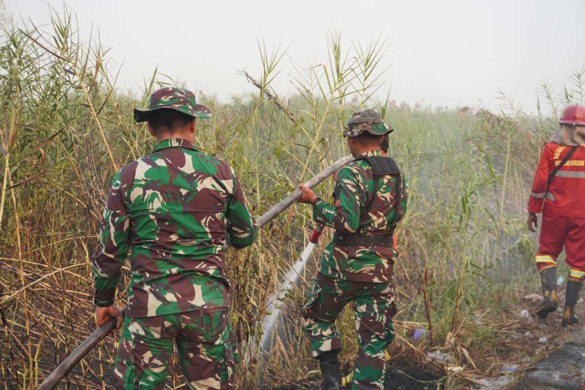 Sinergi Forkopimda HST Perkuat Penanganan Karhutla di Sungai Buluh Sinergi Forkopimda HST Perkuat Penanganan Karhutla di Sungai Buluh