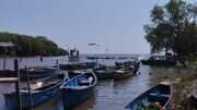 Koramil Sumberasih Kawal dan Amankan Gelaran Tradisi Petik Laut Desa Gili Ketapang
