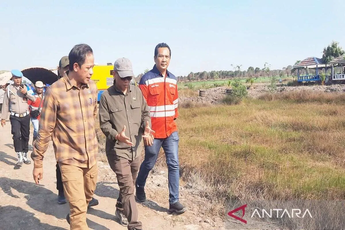 Strategi Perbaikan Tata Ruang untuk Mencegah Karhutla