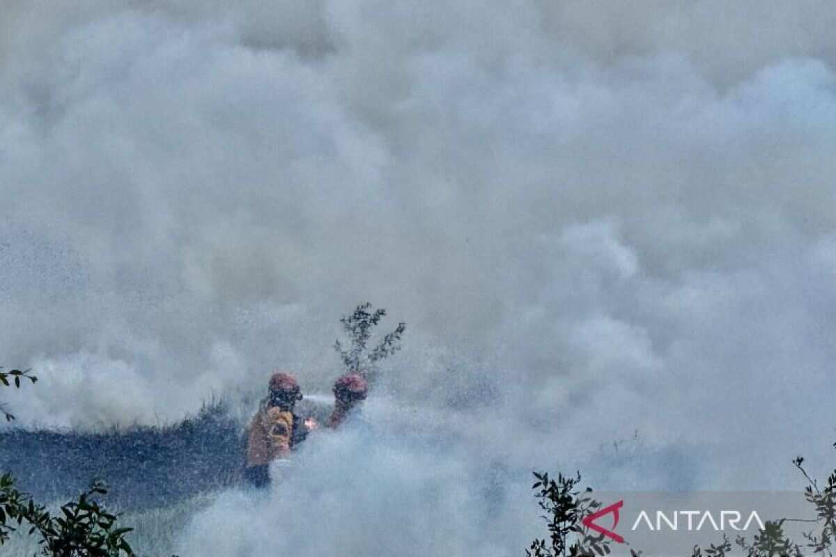Peningkatan Kasus ISPA di Tengah Kebakaran Hutan