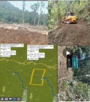 Hutan Lindung Yae Uelempe Terancam Musnah, APH dan KPH Ditantang Nyali Usut Tuntas Dugaan Perambahan Illegal
