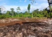 TMMD Ke-129 Tuntaskan Pembukaan Lahan 1 Hektar, Siap Ditanami untuk Perkuat Ketahanan Pangan Kampung Sesor