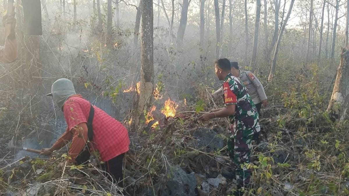 TNI Kerahkan 14.167 Personel Tangani Karhutla di Sejumlah Wilayah