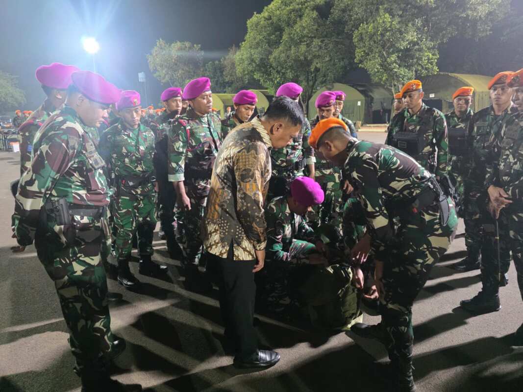 TNI Kerahkan Satgas Khusus Percepat Penanganan Karhutla di Riau
