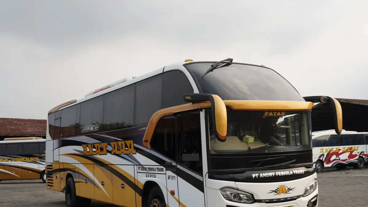 Panduan Perjalanan Bus dari Surabaya ke Jember Panduan Perjalanan Bus dari Surabaya ke Jember