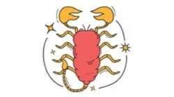 Ramalan Zodiak Scorpio untuk 29 Agustus 2026 Ramalan Zodiak Scorpio untuk 29 Agustus 2026