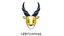 Karier Zodiak Capricorn pada Sabtu, 29 Agustus 2026: Memanfaatkan Inspirasi untuk Mencapai Target