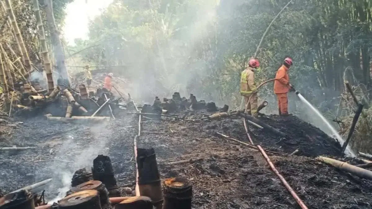 Peningkatan Tindakan Hukum Terkait Kebakaran Hutan